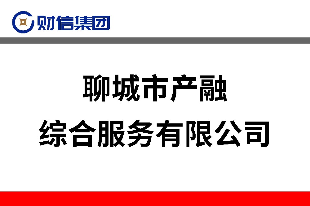 聊城市產(chǎn)融綜合服務(wù)有限公司